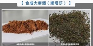 毒品知识—新型毒品